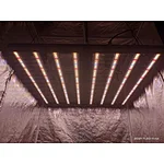 How to choose the right led grow light?Choose the wavelengths you need is important.