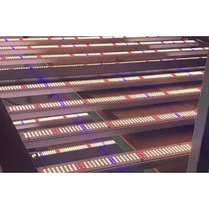 Samsung diodes 800W led grow light with blue light forled grow light for houseplants