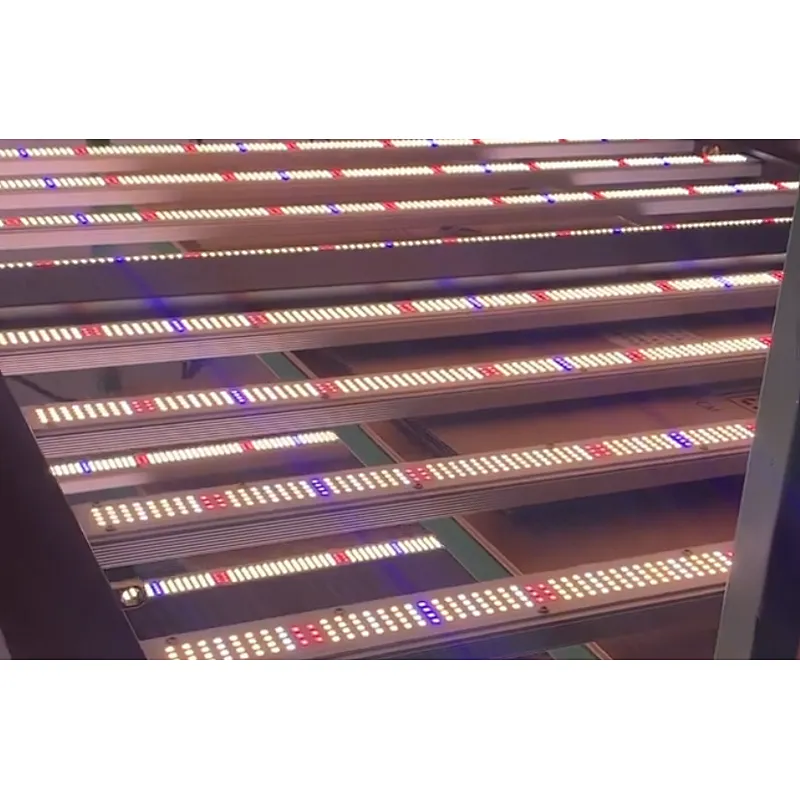 Samsung diodes 800W led grow light with blue light forled grow light for houseplants