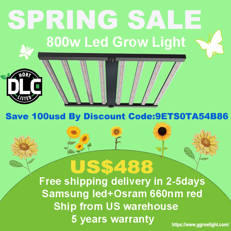 Promotion for 800w foldable led grow light