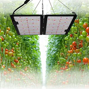 Commercial LED Grow Light Pano High Efficiency waterproof protect full spectrum for indoor tent