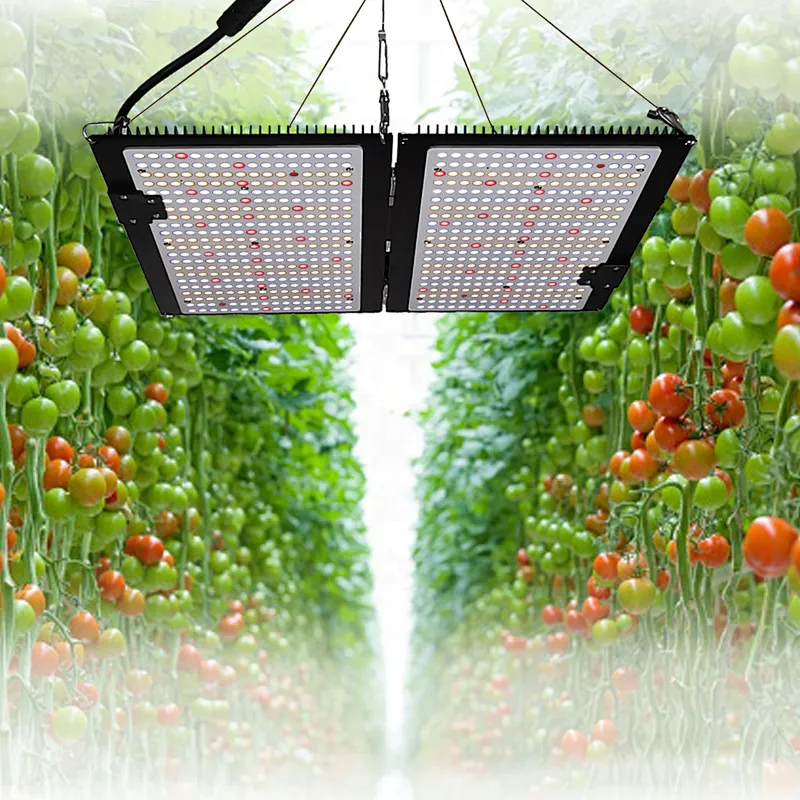 Commercial LED Grow Light Pano High Efficiency waterproof protect full spectrum for indoor tent