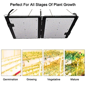 IP65 Waterproof Meanwell Driver High PPFD full spectrum 100w 200w 300w best led grow lights for indoor plants