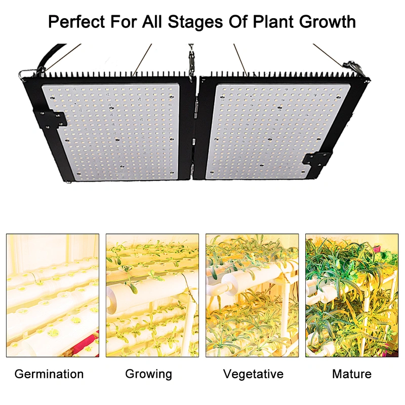 IP65 Waterproof Meanwell Driver High PPFD full spectrum 100w 200w 300w best led grow lights for indoor plants