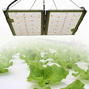 LED Plant Light Dimmable Sunlike Full Spectrum with chip and meanwell Driver Grow Lamp for hydro indoor blooming