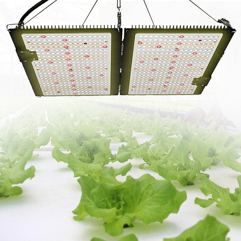 LED Plant Light Dimmable Sunlike Full Spectrum with chip and meanwell Driver Grow Lamp for hydro indoor blooming