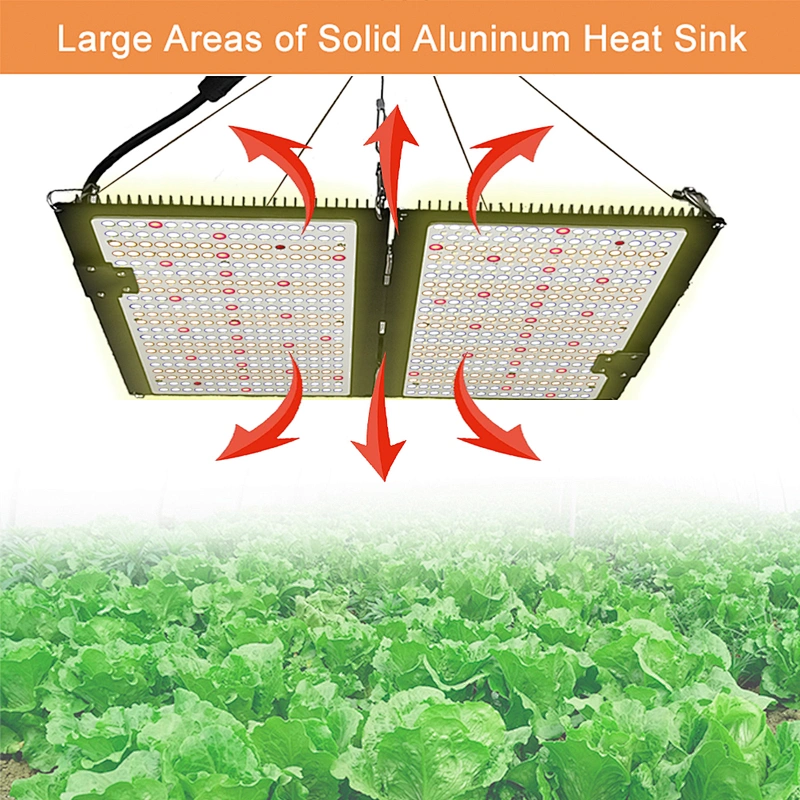 GrowlightPlus Meanwell Driver Indoor Grow Led Light 200W Full Spectrum LED Grow Light For Medical Plants Growing