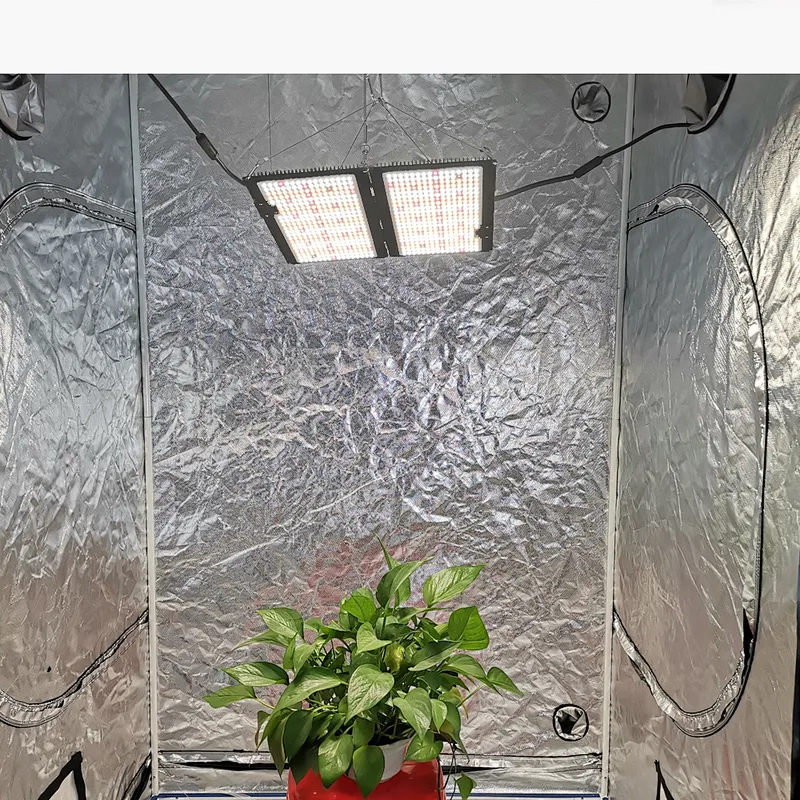 diy 1000w led grow light 200w 1000watt led 230v grow lights for grow trees 1200w