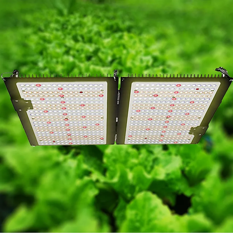 GrowlightPlus horticultur lm301h 2021 hydroponic quantum hydro lm301b full spectrum 480W led grow light plant grow light led