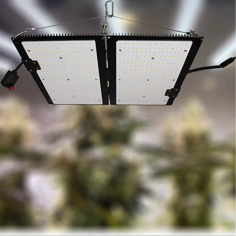 GrowlightPlus horticultur lm301h 2021 hydroponic quantum hydro lm301b full spectrum 480W led grow light plant grow light led