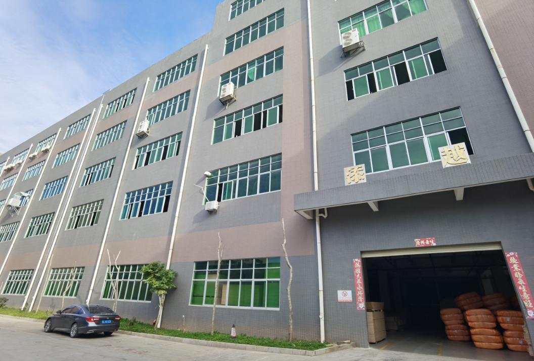 Company profile