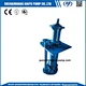 vertical slurry pumps