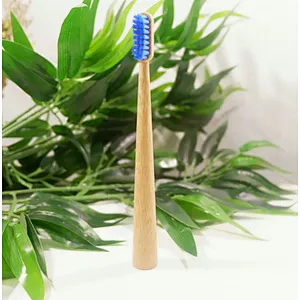 Adults Bamboo Tooth Brush 10pcs Craft box pack