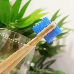 Adults Bamboo Tooth Brush 10pcs Craft box pack