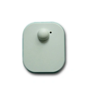 Large Square