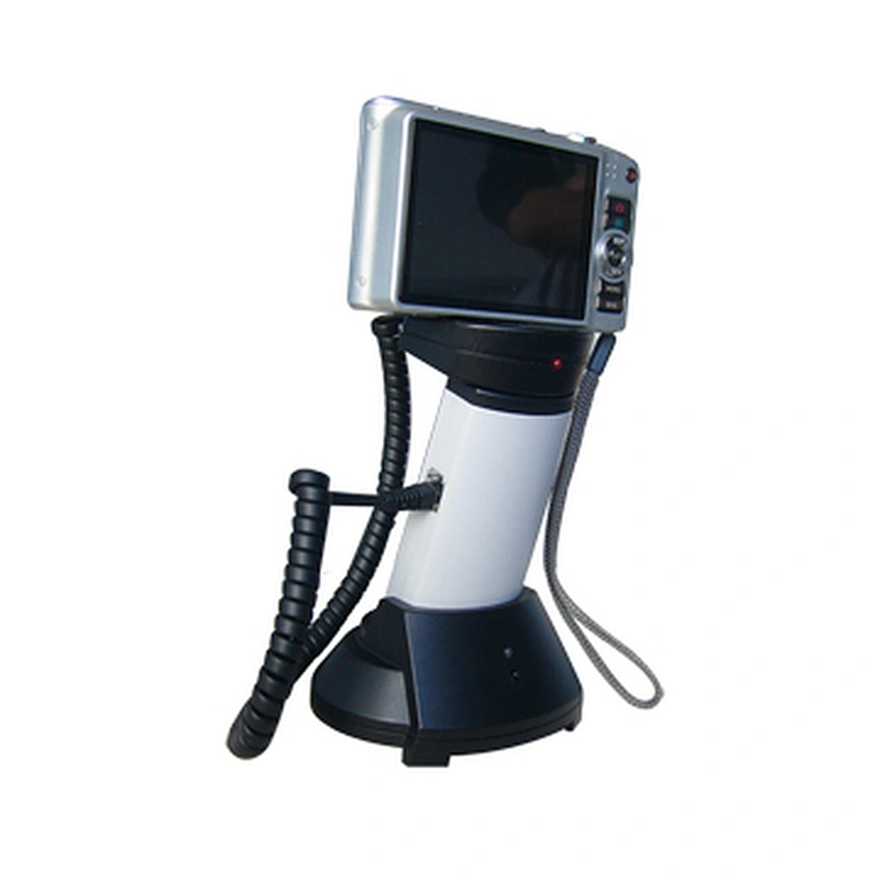 1002 Security Display Stand