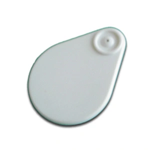Water Drop