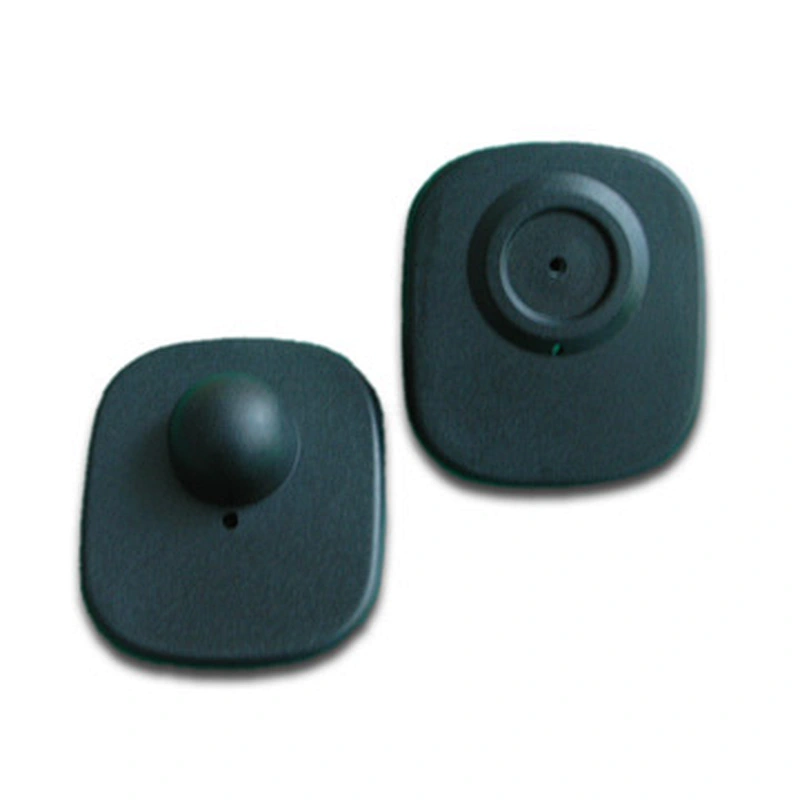 Small Square