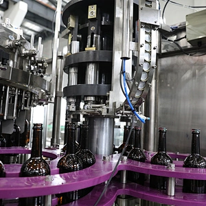 Zhangjiagang Full Automatic Beer Filler Washing Filling Capping Bottling Plant Packaging Machine
