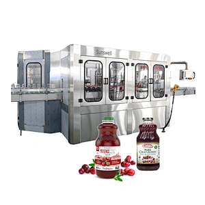 Zhangjiagang Hot Beverage watermelon juice processing line Filling machine packing machine