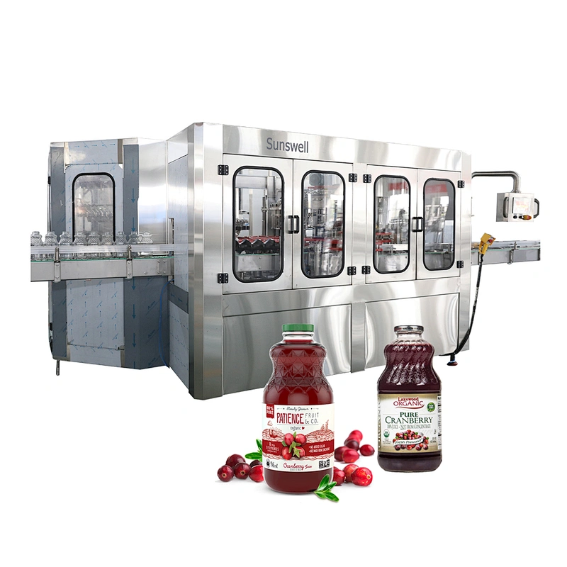 Zhangjiagang Hot Beverage watermelon juice processing line Filling machine packing machine