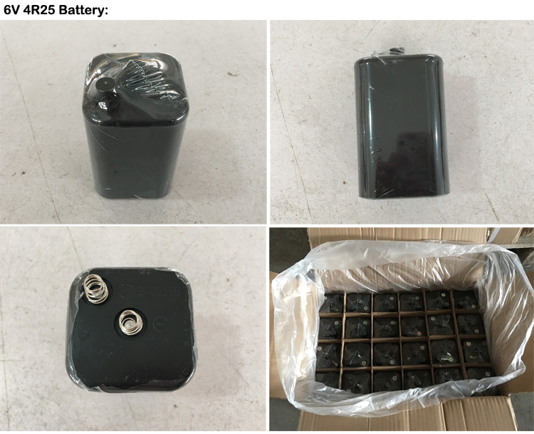 6V 4R25_ Battery