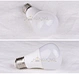 Incandescent Bulb