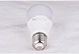 Incandescent Bulb