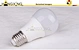 Incandescent Bulb