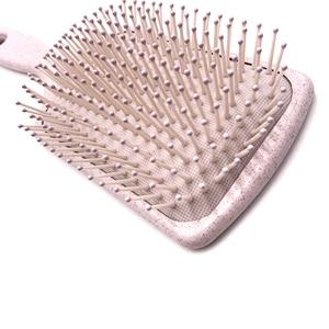 2020 New Eco-friendly Custom Plastic Hair Brush With Massage Comb For Women