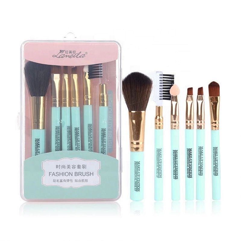 Custom Logo 6Pcs/Set Make Up Cosmetic Tools Facial Foundation Makeup Brushes Set With Plastic Box