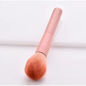 Pink 10 Pcs Cosmetic Face Makeup Brush Set Private Label With Double Head