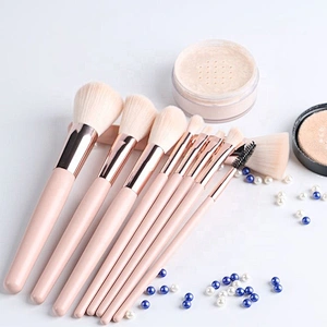 9 Piece Wooden Handle Material Cosmetic Travel Makeup Brush Set