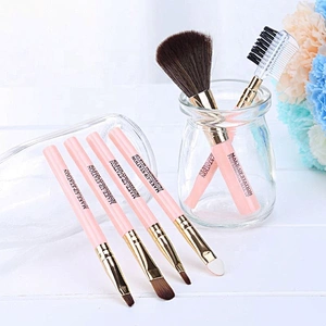 Custom Logo 6Pcs/Set Make Up Cosmetic Tools Facial Foundation Makeup Brushes Set With Plastic Box