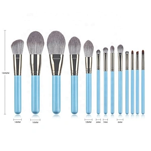 Private Label Professional 13 PCS Makeup Brushes Set