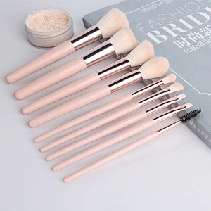 9 Piece Wooden Handle Material Cosmetic Travel Makeup Brush Set