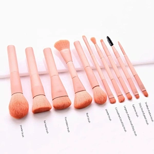 Pink 10 Pcs Cosmetic Face Makeup Brush Set Private Label With Double Head