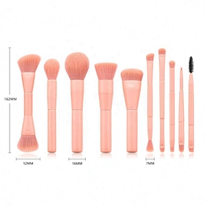 Pink 10 Pcs Cosmetic Face Makeup Brush Set Private Label With Double Head