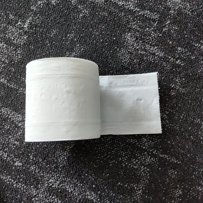 Eco-friendly soft smooth environment regular embossed 2ply  toilet paper individual packed
