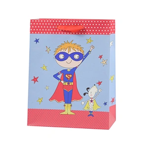 Everyday gift bag, baby bag, paper bag