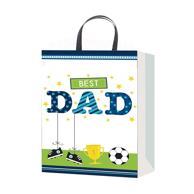 Professional china supplier Valentine's Day gift bag charming deseign Gift bags for friends and relatives