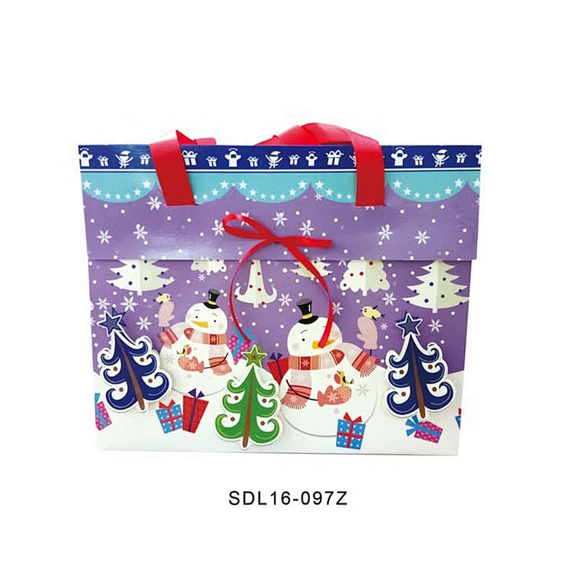 Hot selling gift Hand Length Handle packaging Bag Good style Various Recyclable Packaging