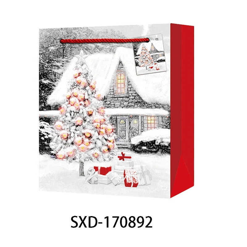 Hot sale classic gift Coated Paper Santa Claus Bag Best china low price Various Christmas gift bag Packaging