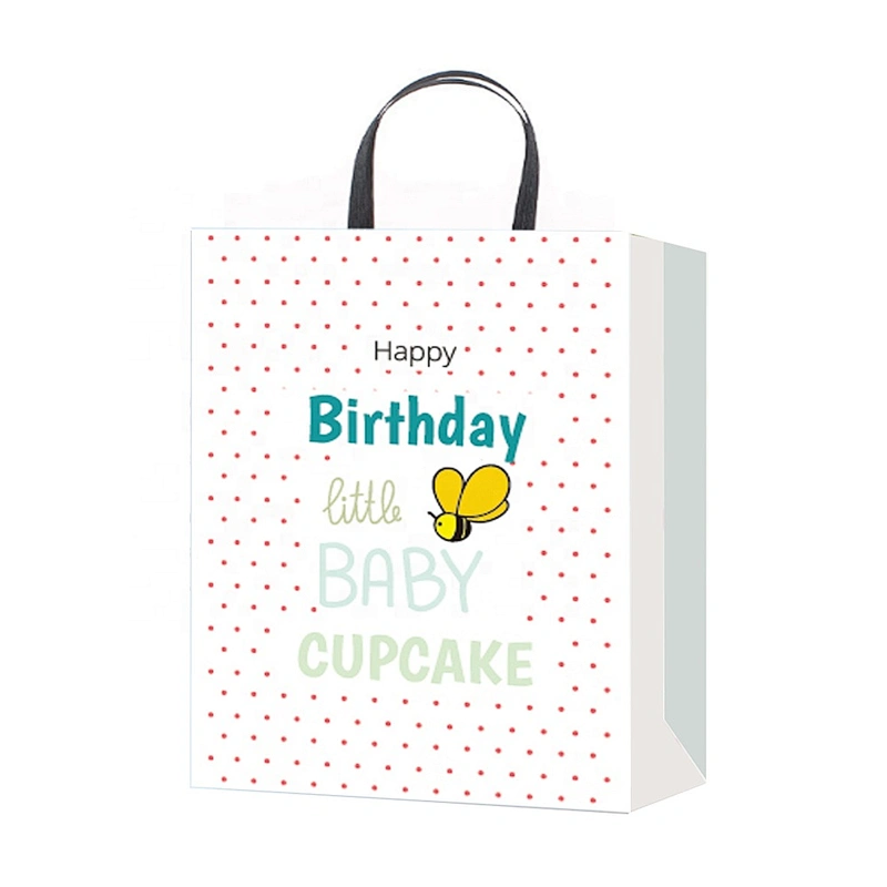 Professional china supplier Birthday gift bag hot selling Nice Recyclable Packaging