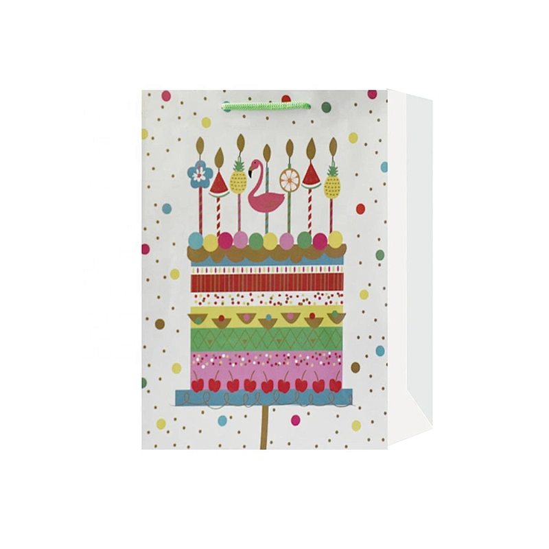 Best china low price Birthday gift bag Professional made Nice paper Packaging