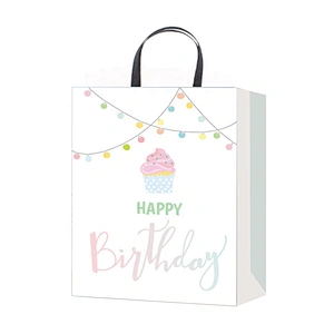 Professional china supplier Birthday gift bag hot selling Nice Recyclable Packaging