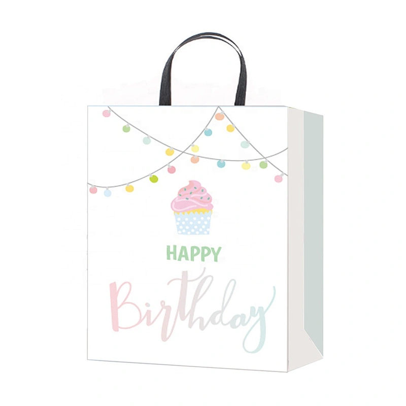 Professional china supplier Birthday gift bag hot selling Nice Recyclable Packaging