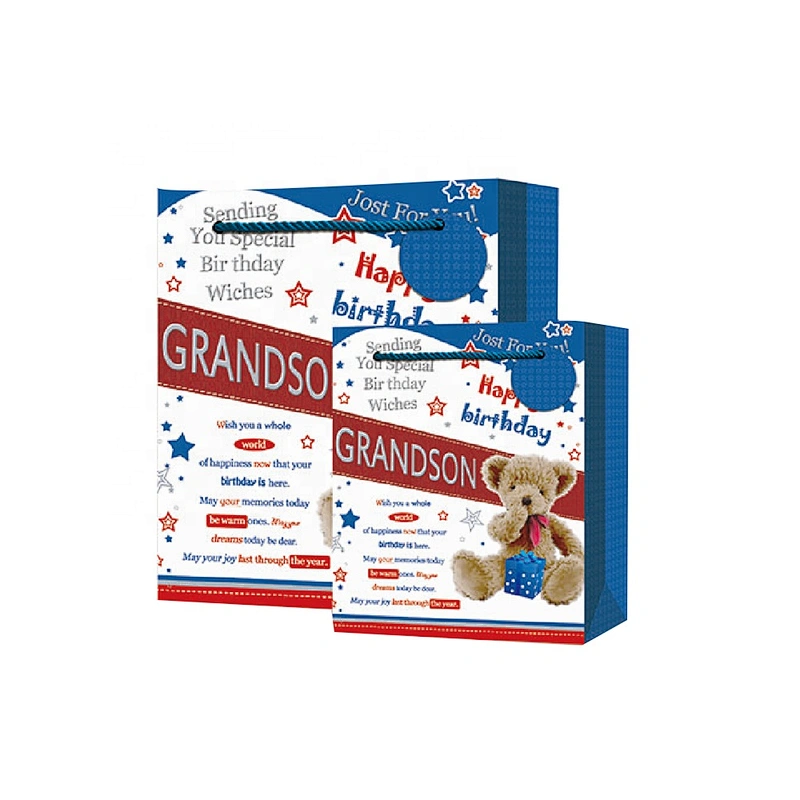 Hot sale classic Birthday gift bag Promotional sale colorful paper Packaging