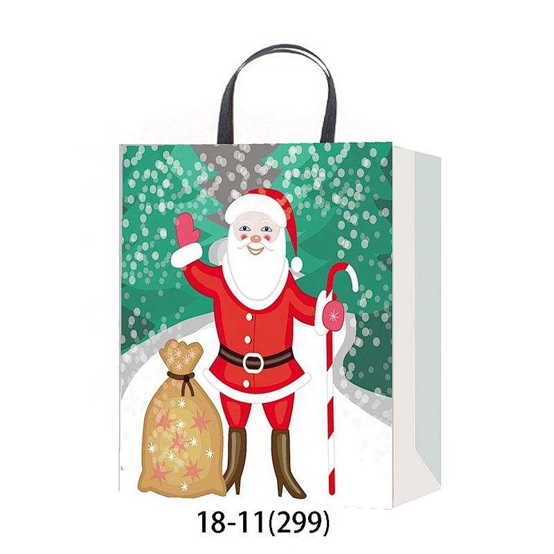 Latest china new model Recyclable packaging Bag Good style Various Christmas gift bag Packaging