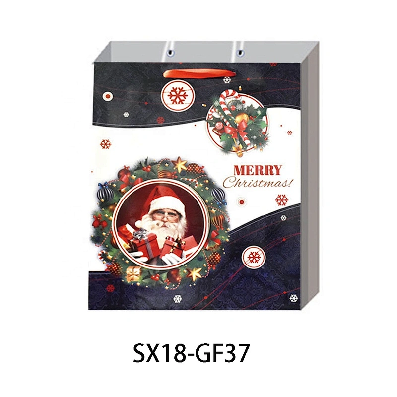 Custom Paper Bag Christmas Shopping paper Gift Bags Logo Gift Packaging Bag Various Christmas